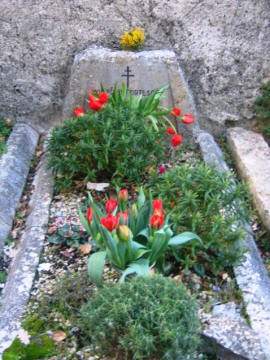 Flowers on Winifred's grave