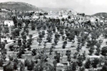 Early aerial view over Chateauneuf de Grasse