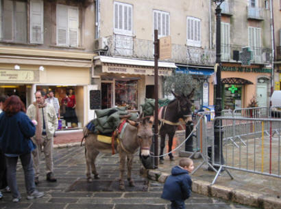 Donkey rides at Place aux Aires, Grasse