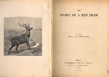 The Story of a Red Deer